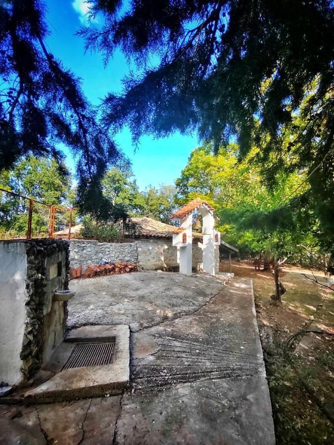 Rapsani Panorama Villa Rapsáni Exterior foto